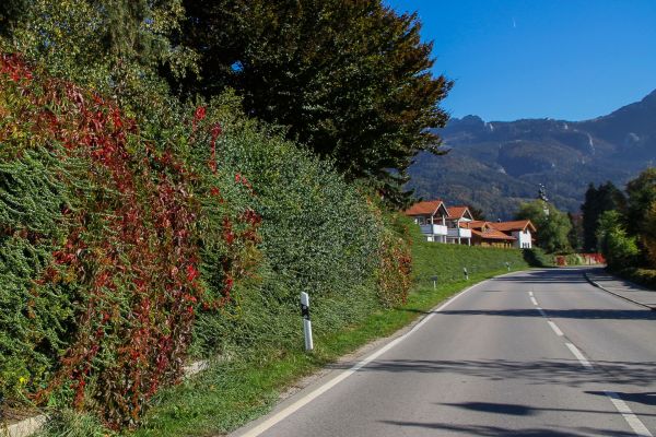 naturawall Lärmschutzwand Chiemgau Voralpenland im Herbst